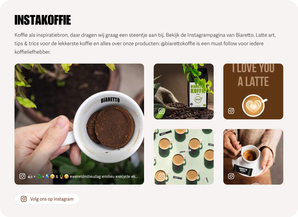 Afbeelding Biaretto instagram component