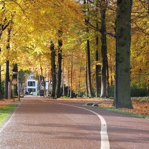 Persoonlijke bezoekerservaring door intelligente content - De Baak & Iquality