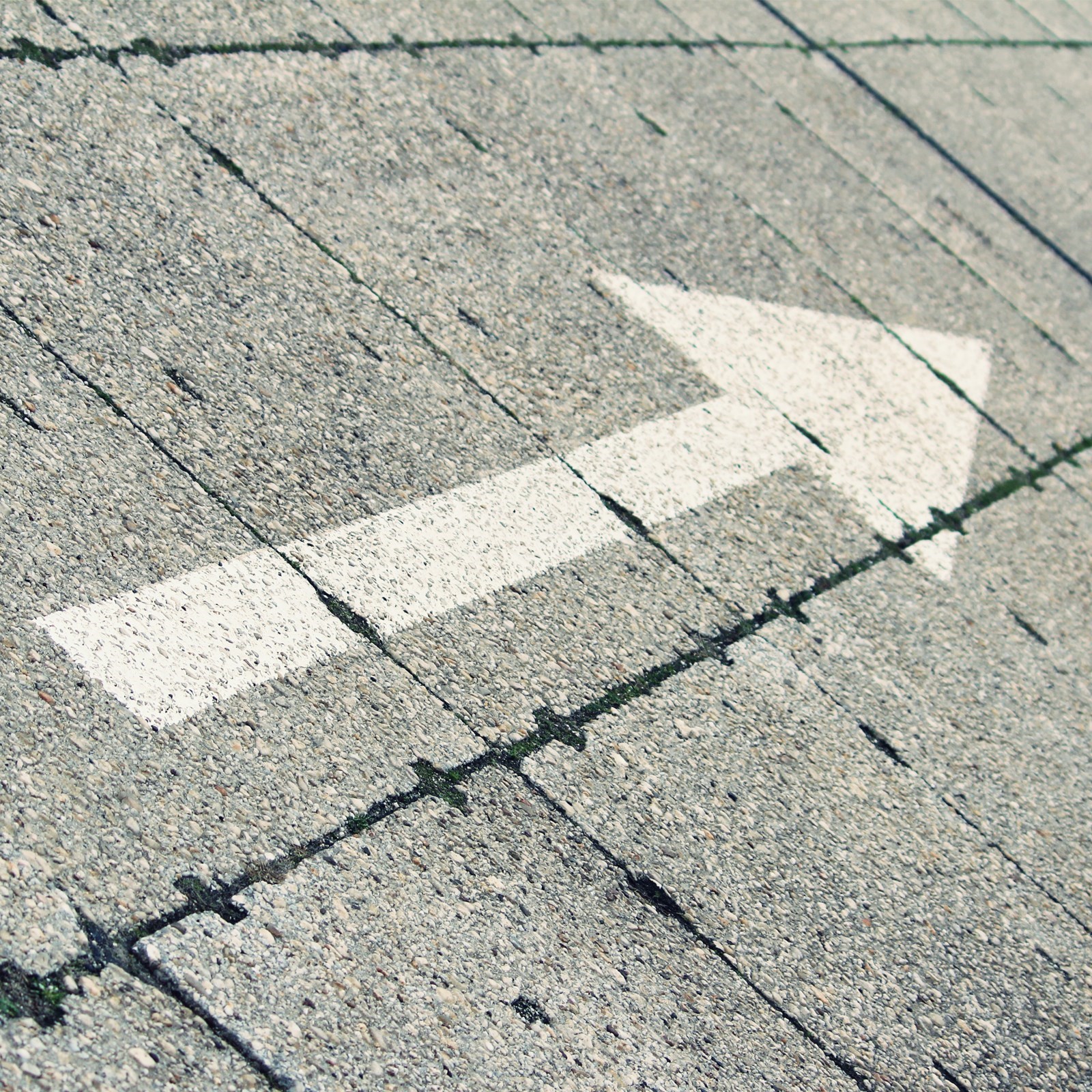 Provincie Noord-Brabant biedt snellere informatie door snelle zoekmachine