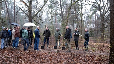 Iquality bomen planten.