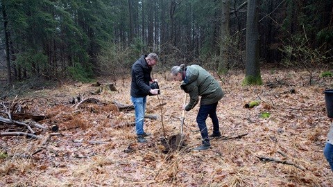 Iquality plant bomen.
