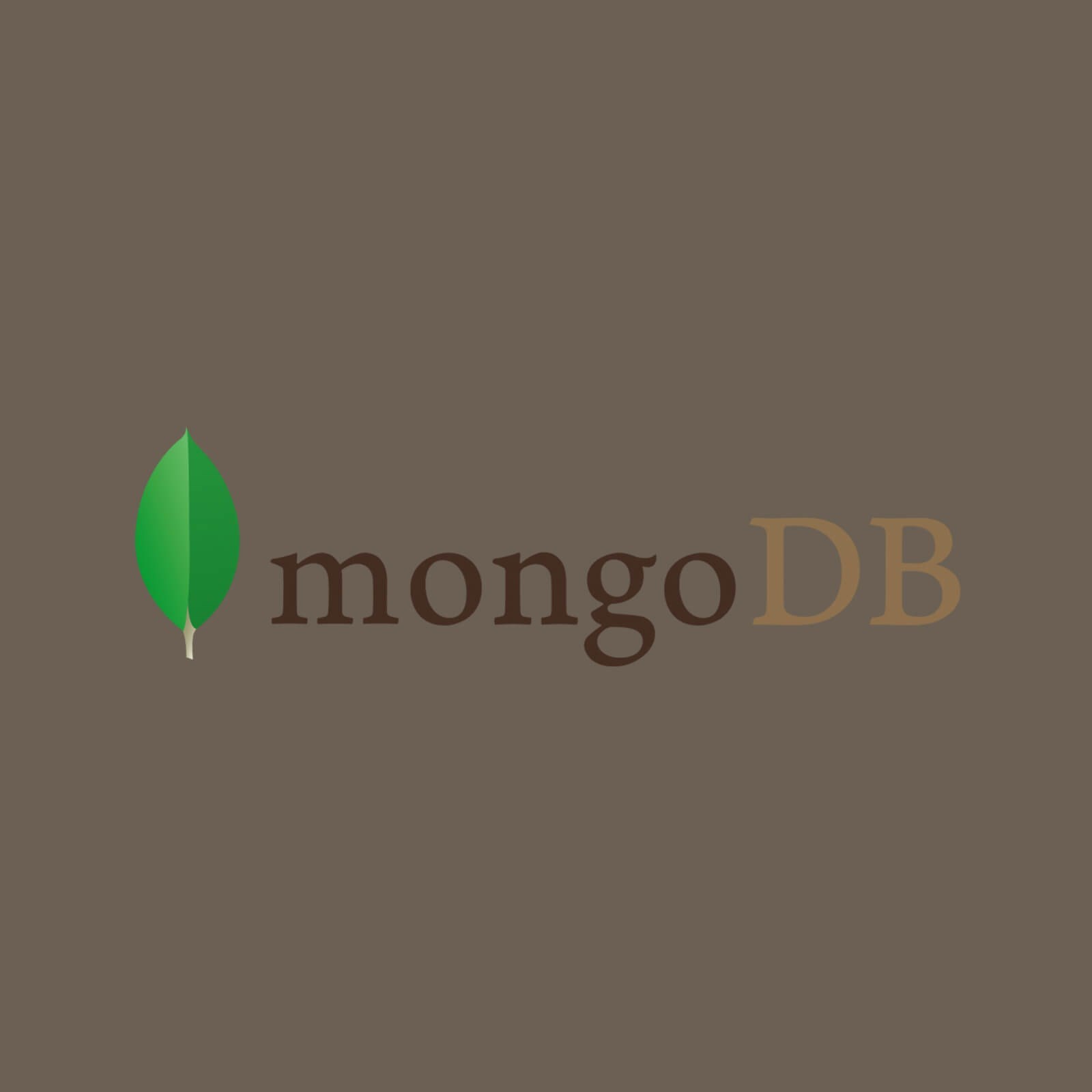Ferdinand slaagt voor MongDB
