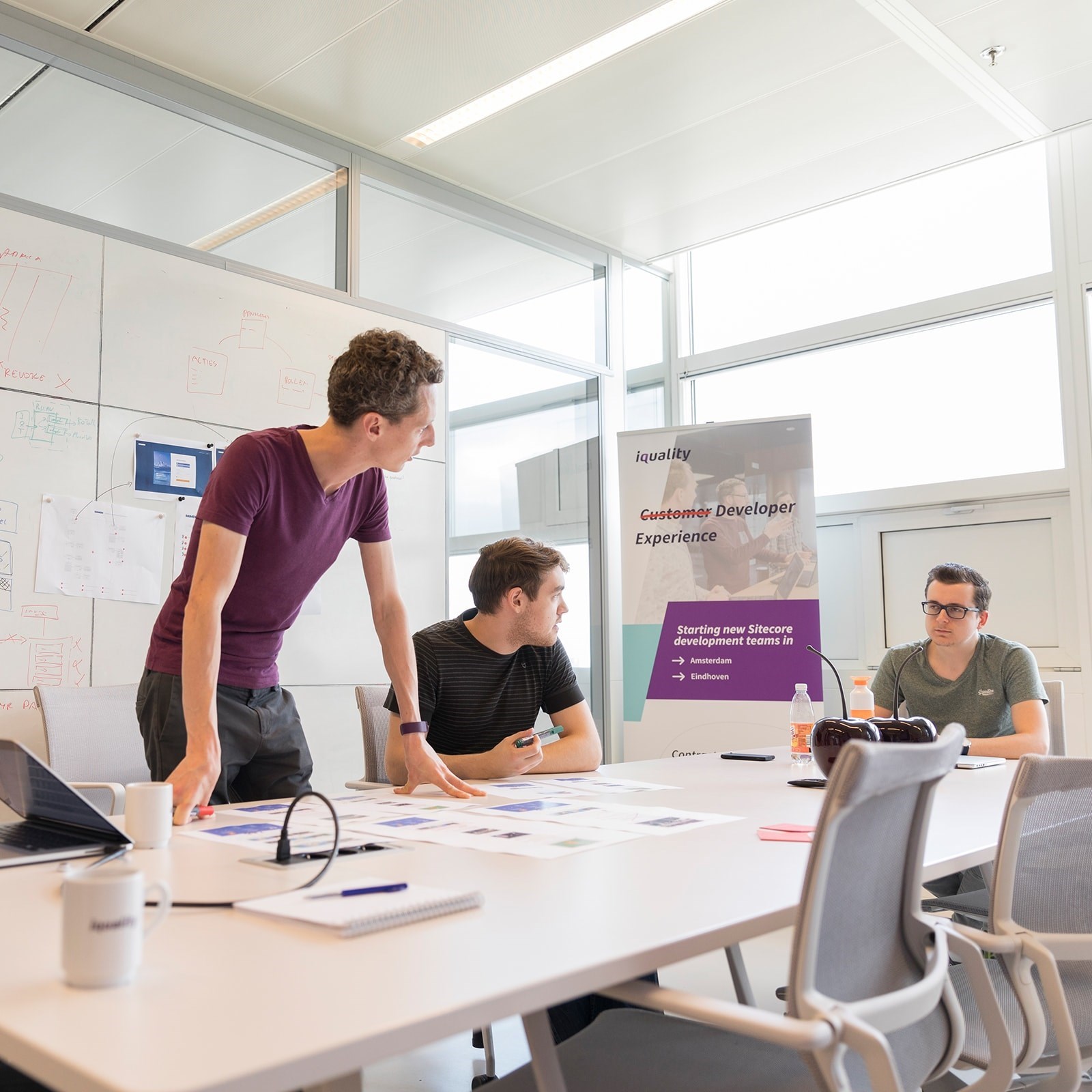 Sitecore Developer