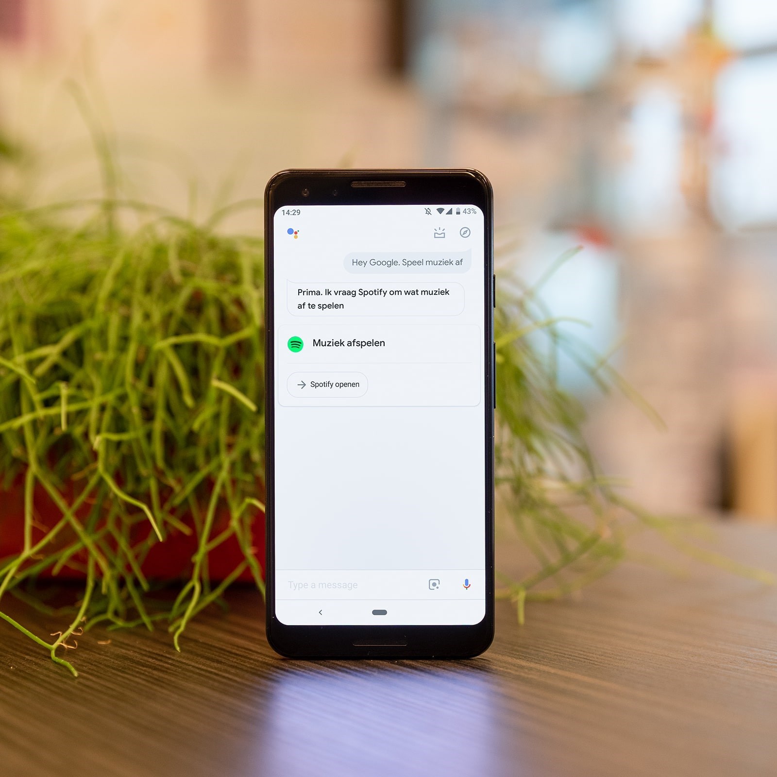 Google Assistent