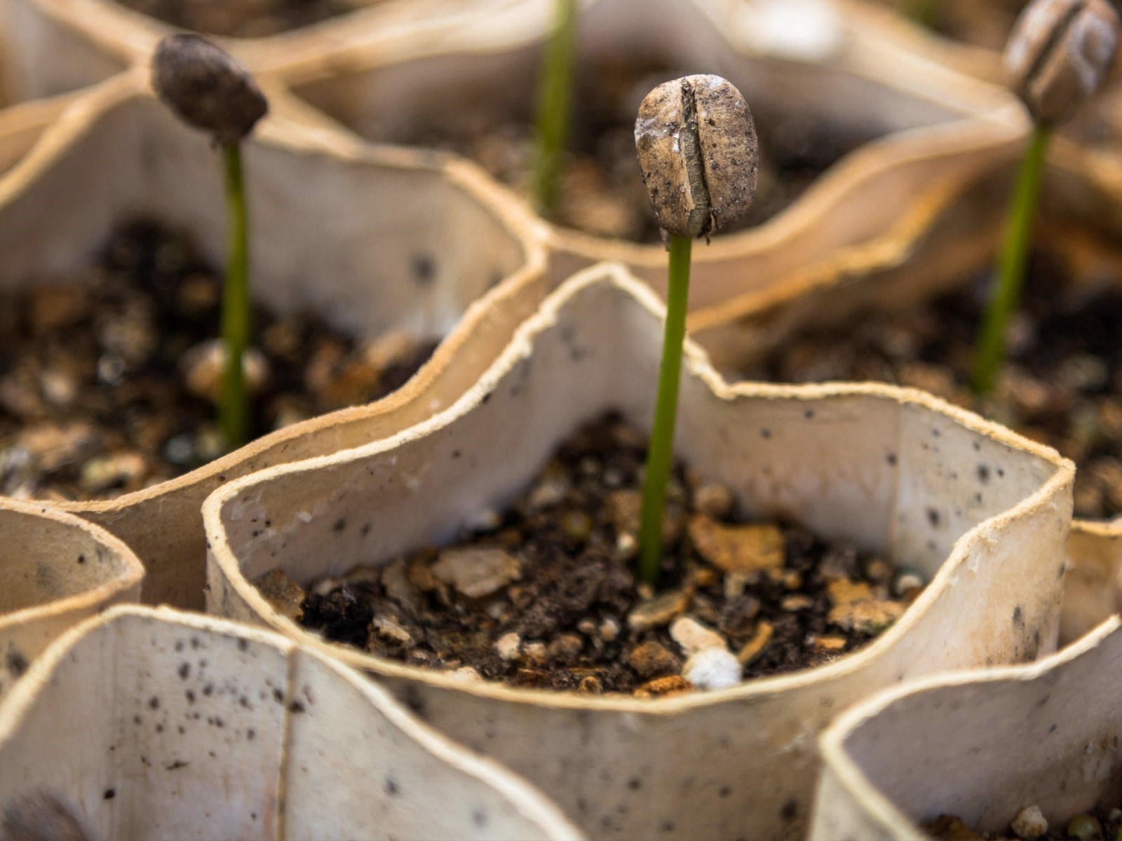 Softwareontwikkeling is net 'starting up a new company' Iquality