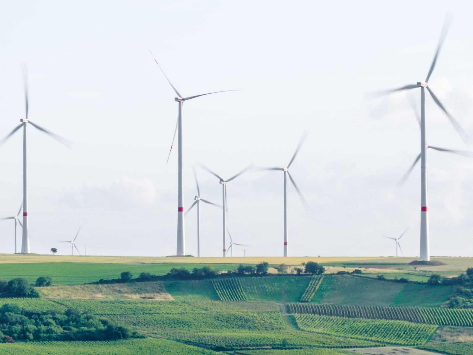 Testen en MVO Iquality